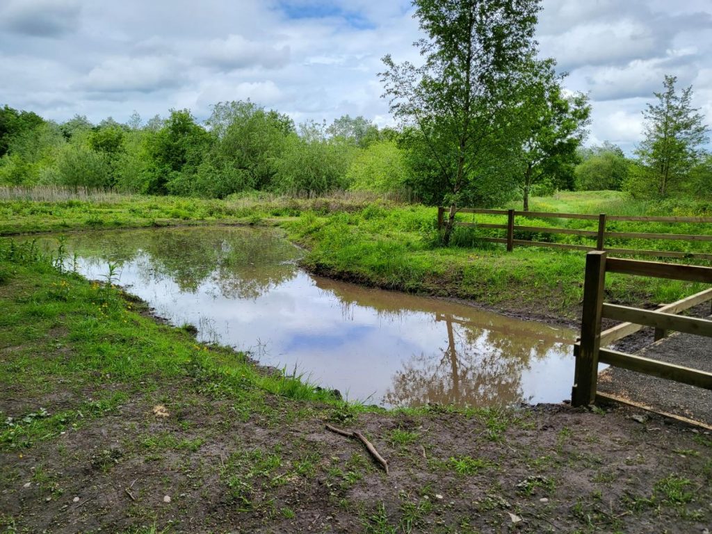 The Dipping Pond | Friends of Childwall Woods and Fields